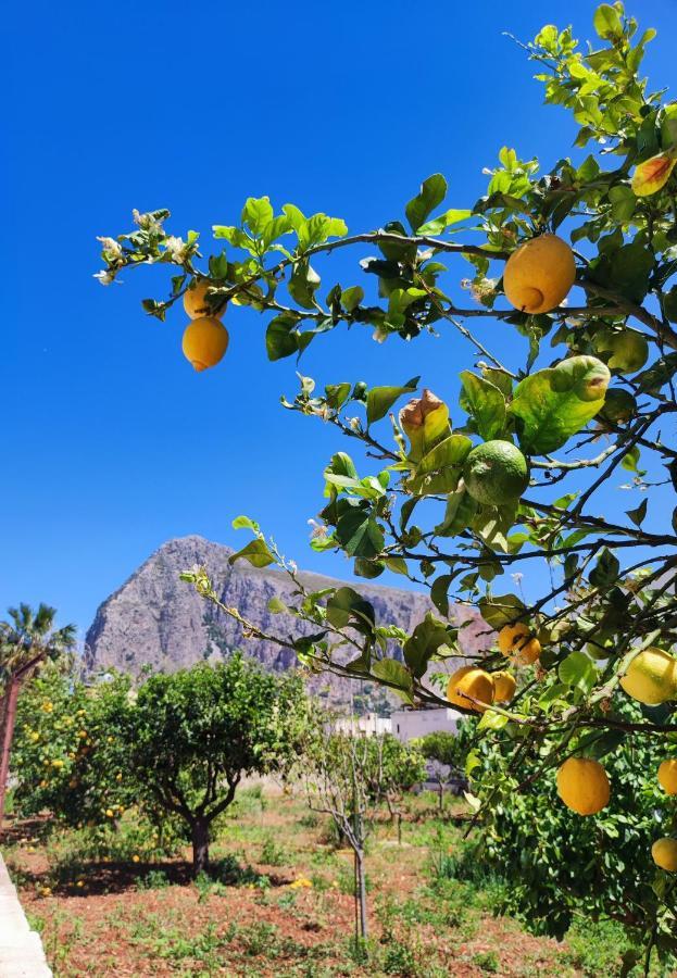 Casa Vacanze Il Faro San Vito Lo Capo-Trapani-Sicilia Ovest Holiday Home Εξωτερικό φωτογραφία