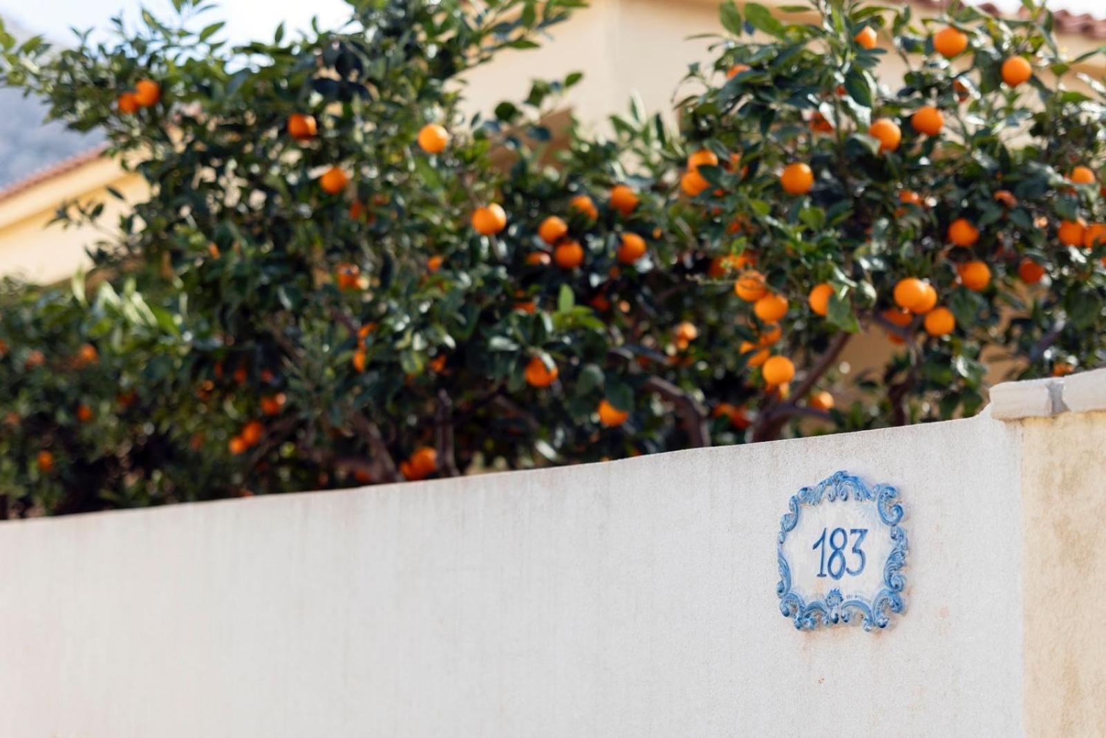 Casa Vacanze Il Faro San Vito Lo Capo-Trapani-Sicilia Ovest Holiday Home Εξωτερικό φωτογραφία